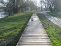 Hundespaziergang um den Ölpersee in Braunschweig - nw_familyplanet_user_1spaziergang_hund_braunschweig_jpg.jpg