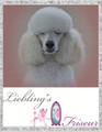 Liebling\&#039;s Friseur - Hundesalon und Shop _88e21 - nw_hund_1image_jpegtierpflegeimage_jpeg.jpg